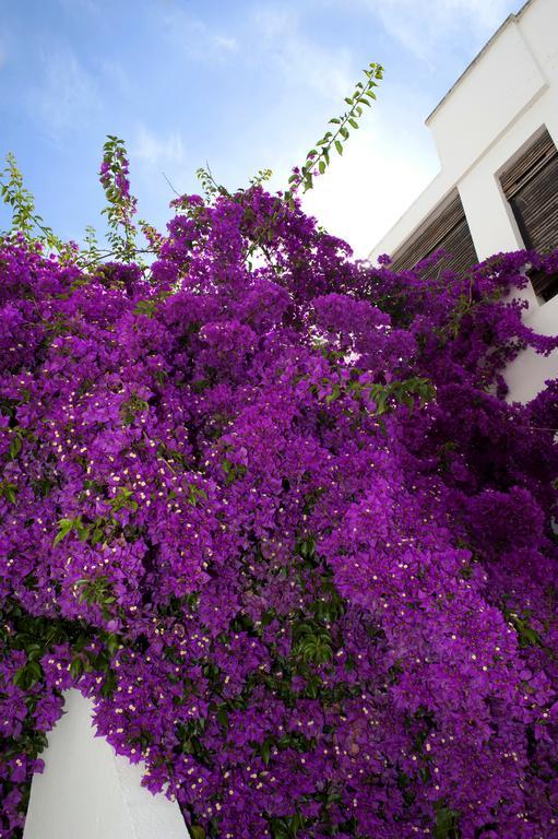 Haspeyma Otel Bodrum Buitenkant foto
